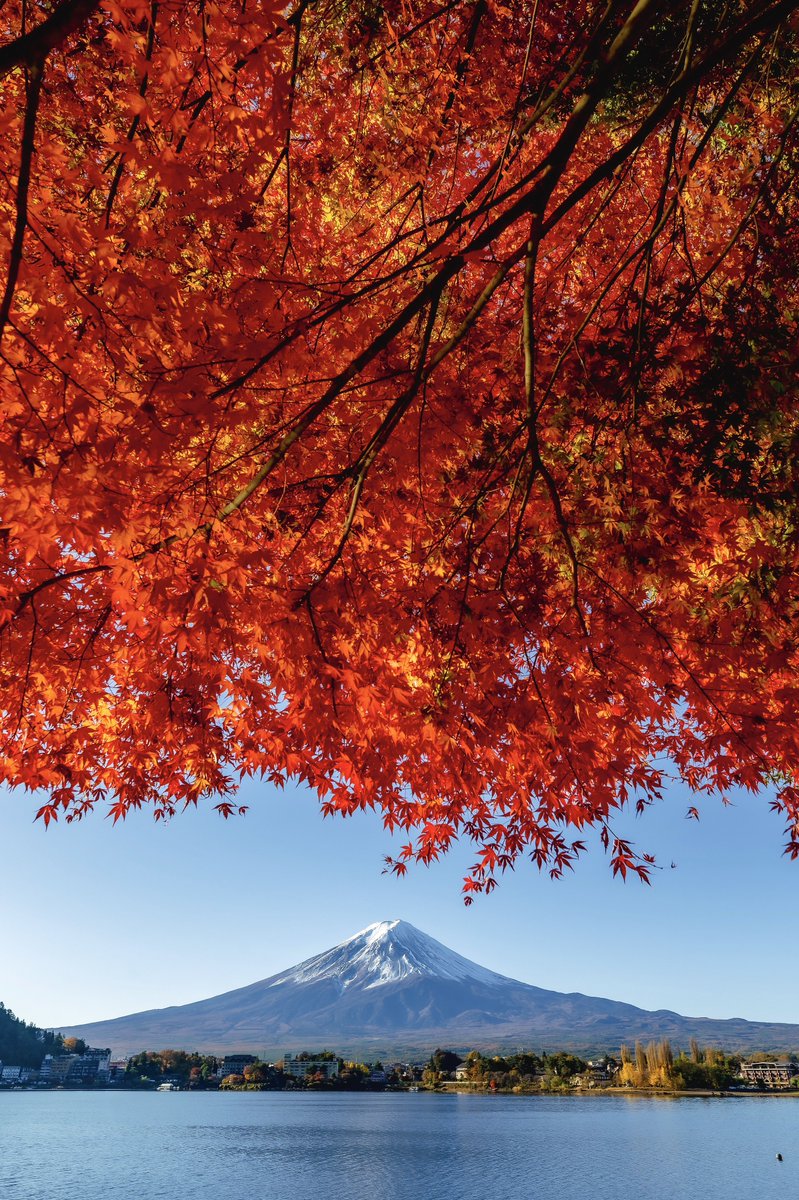 秋がくるのが楽しみだなぁ。