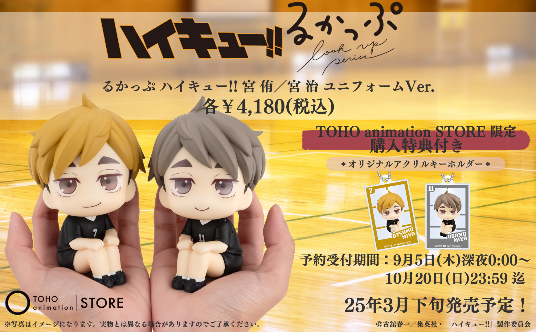 TOHO animation STORE on X: 