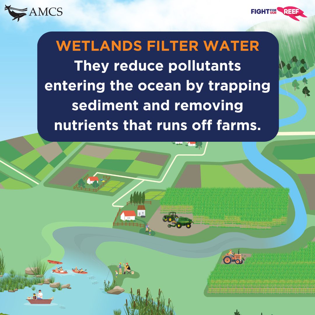 Fight For Our Reef tweet media