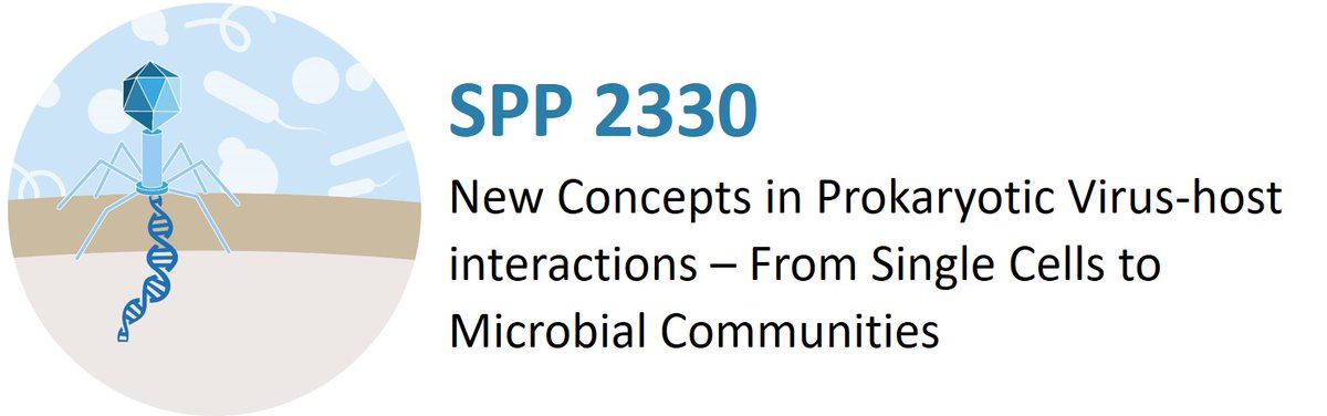 Marc Erhardt (@salmo_lab) on Twitter photo We are hiring!
Together with <a href="/__jphilipp/">Philipp Popp</a>, we are looking for two motivated PhD candidates to investigate fundamental immune mechanisms of bacteria against bacteriophages in the framework of the DFG priority program <a href="/SPP2330/">New Concepts in Prokaryotic Virus-Host Interaction</a>!
euraxess.ec.europa.eu/jobs/269521 We are hiring!
Together with <a href="/__jphilipp/">Philipp Popp</a>, we are looking for two motivated PhD candidates to investigate fundamental immune mechanisms of bacteria against bacteriophages in the framework of the DFG priority program <a href="/SPP2330/">New Concepts in Prokaryotic Virus-Host Interaction</a>!
euraxess.ec.europa.eu/jobs/269521