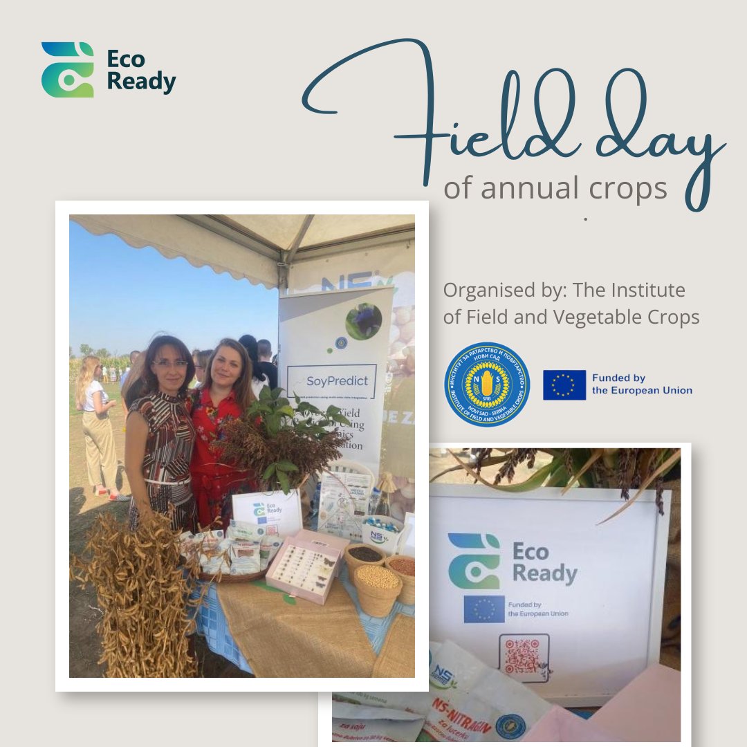 EcoReady_eu's tweet photo. On August 28, 2024, Eco-Ready partner, the Institute of Field and Vegetable Crops, hosted its long-standing Field Day at Rimski ลกanฤevi, showcasing innovations in soybean, maize, sunflower, and alternative crops.
#ecoready #sustainability #livinglabs #agriculture #EUproject https://t.co/uiIsLr5Ntf
