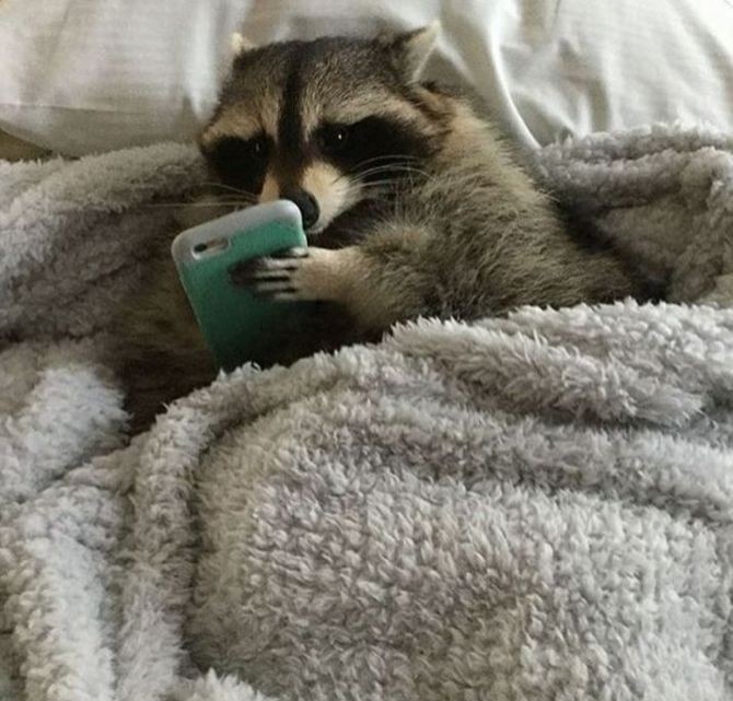 Gm gm!
Have a nice day!