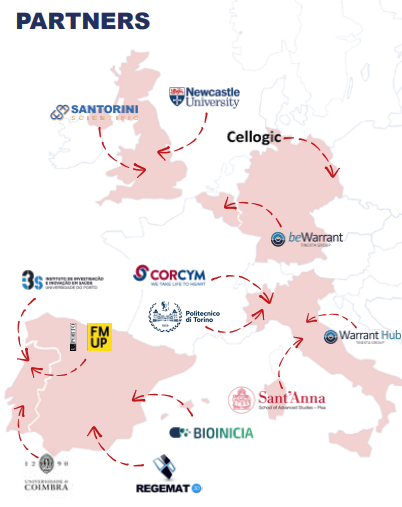 Reborn Project tweet media