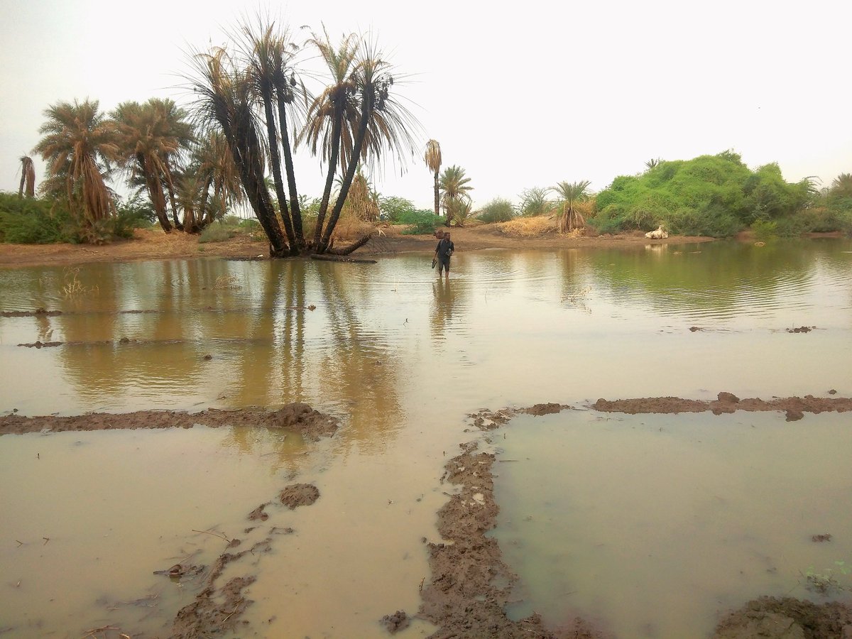 ⭕️ الولاية الشمالية :

-  40 حالة وفاة
- 3 آلاف إصابة
- انهيار 26 ألف منزل 
 بسبب السيول التي اجتاحت الولاية  ...

السودان - شمال السودان - امتداد نهر عطبرة

⁧#سيول_السودان⁩
#ندعم_بعض
#الترحال
#الاستكشاف
#sudan
#farisalsheghail
#streetphotography
#shobak