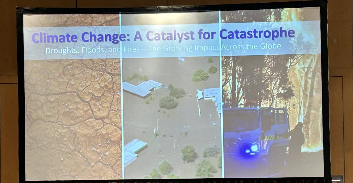 Dr Tina Brock 🌍 🐝 tweet media