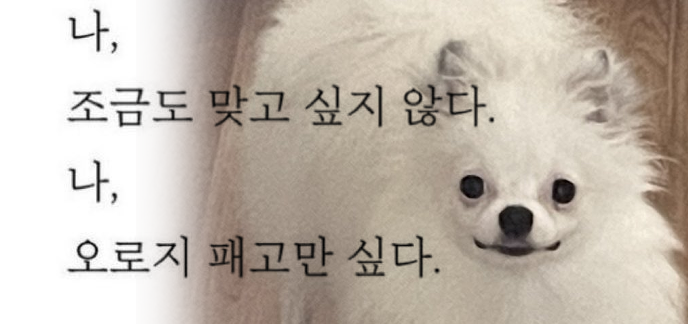 숭이일기 (@nomonkey0) on Twitter photo 