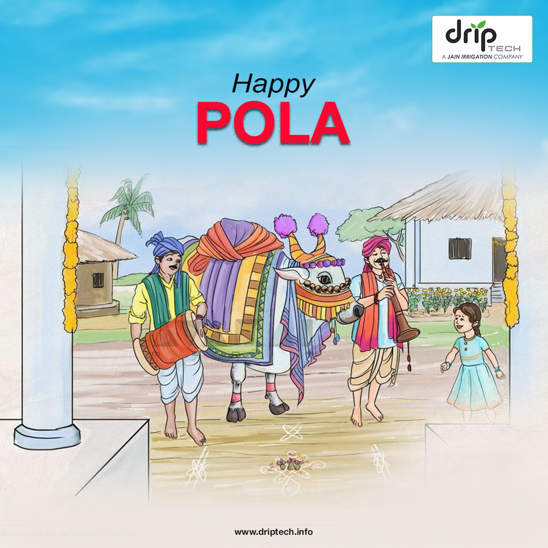 Driptech's tweet image. Celebrating the spirit of tradition, unity, and gratitude at the Pola Festival! Let&apos;s honor our hardworking farmers and their strong companions-the bulls-who keep our fields thriving. Wishing everyone prosperity and joy this festive season!  #polafestival #celebration #driptech