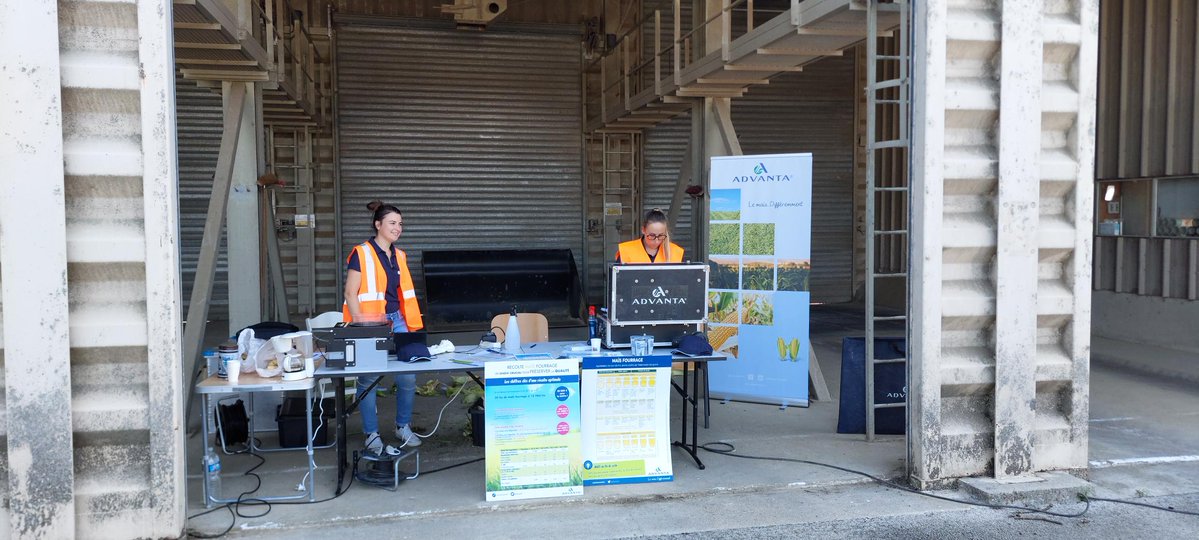 C'est parti pour les premières animations matière sèche 🌽 dans l'Est !

📌 Départements Ardennes, Haute-Marne, Jura, Lorraine
 
👉 Les maïs avancent tranquillement, bien observer le stade du grain.

<a href="/Vivescia/">VIVESCIA</a>