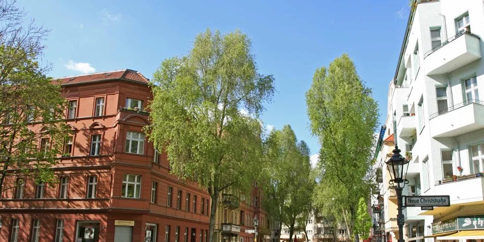 Haushaltsbefragung am #Klausenerplatz zum Milieuschutz: #Stadtentwicklungsamt Charlottenburg-Wilmersdorf sammelt Daten zur Wohnsituation

#Charlottenburg #Wilmersdorf

Mehr Infos: berlin.de/ba-charlottenb…