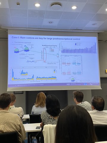 vdlorenzo_CNB's tweet photo. Intriguing &amp; revealing (at least for me!) talk by Nicolas Gómez (HZI Braunschweig, Häussler Group) on the breadth of epigenetic modifications that RNA (beyond those miaA-dependent) goes through for regulating the gene expression flow in P. aeruginosa 😱 #Pseudomonas2024 https://t.co/uV5DCWoHv0