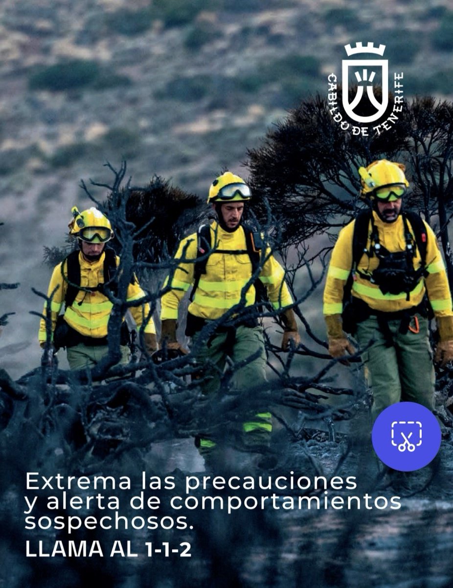 PSOETenerife's tweet photo. ¿Está usando el @CabildoTenerife la publicidad institucional, que pagamos todos, para la promoción de su presidenta, @rdavmam? ¿Cuánto nos ha costado esto? 👇

Por cierto, ni rastro de su vicepresidente, @Lope_afonso https://t.co/kKsOdtQm86