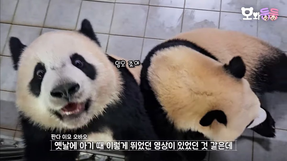 ketchup_bao's tweet photo. 임오 죠아💕💕💕루히히 https://t.co/ehBnps22FM