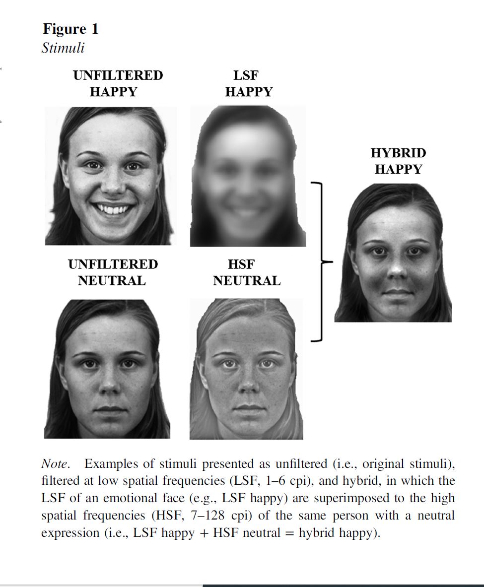 Laeng (@brunolaeng) on Twitter photo Face hybrids as stimuli for probing the brain’s processing of facial expressions: sub-cortical (low spatial frequencies) versus cortical (high spatial frequencies), or conscious versus subliminal 🧠 Online in Neuropsychology <a href="/APA_Journals/">APA Journals</a>☑️
doi.org/10.1037/neu000… Face hybrids as stimuli for probing the brain’s processing of facial expressions: sub-cortical (low spatial frequencies) versus cortical (high spatial frequencies), or conscious versus subliminal 🧠 Online in Neuropsychology <a href="/APA_Journals/">APA Journals</a>☑️
doi.org/10.1037/neu000…