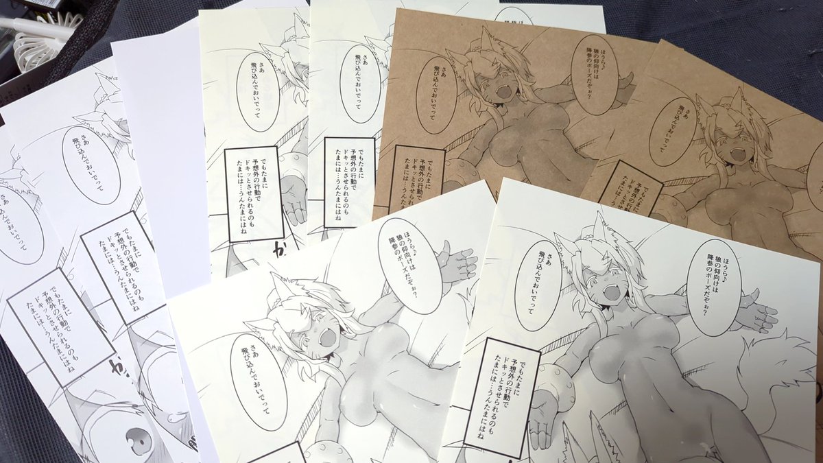 以前お願いした日光企画さんの印刷見本 色々バージョン 白以外も趣あっていいですな 