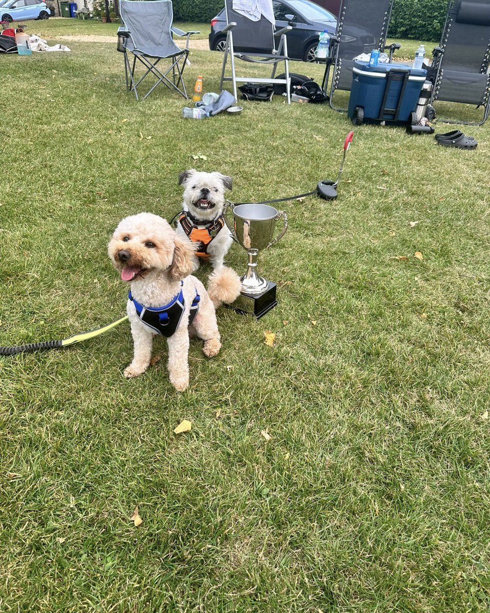 ✨Mrs Field✨ (@dani_jeffrey) on Twitter photo Printers CC win T20 final against Evenley CC. Number 1 supporters had to get a photo with the trophy! <a href="/dogsatcricket/">Dogs at Cricket Grounds</a> Printers CC win T20 final against Evenley CC. Number 1 supporters had to get a photo with the trophy! <a href="/dogsatcricket/">Dogs at Cricket Grounds</a>