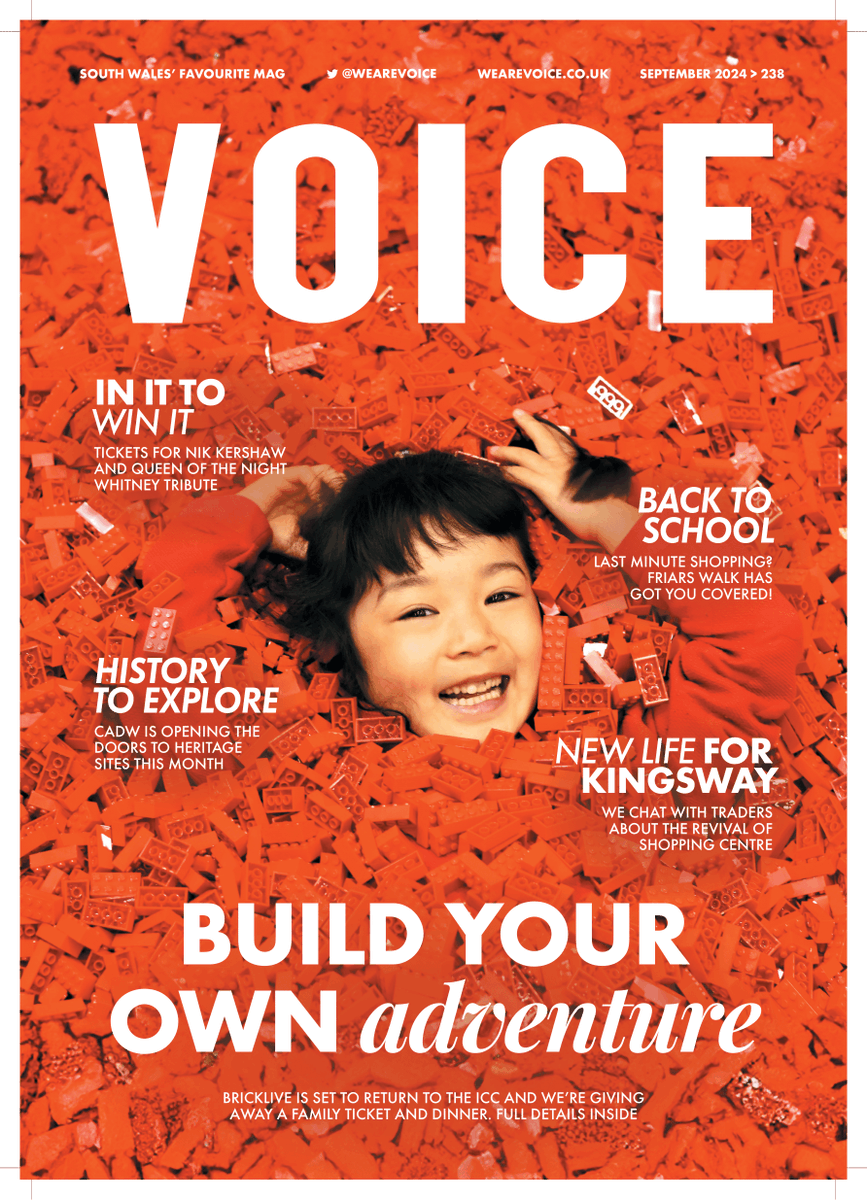 Voice tweet media