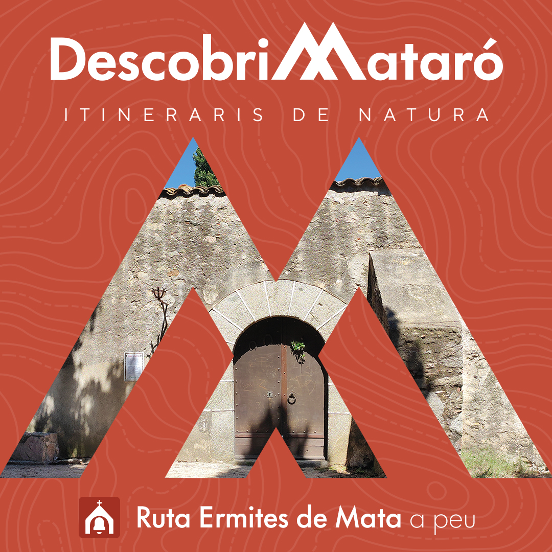 visit_mataro's tweet image. Descobrim Mataró amb un dels nostres #ItinerarisDeNatura!

🚶‍♀️ Recorre a peu  o en 🚴bicicleta les platges de Mataró, l’interessant espai agrari de les Cinc Sénies i les ermites de Sant Miquel i Sant Martí de Mata!

+Info a shorturl.at/SUJl9

#senderisme #mataro #rutes