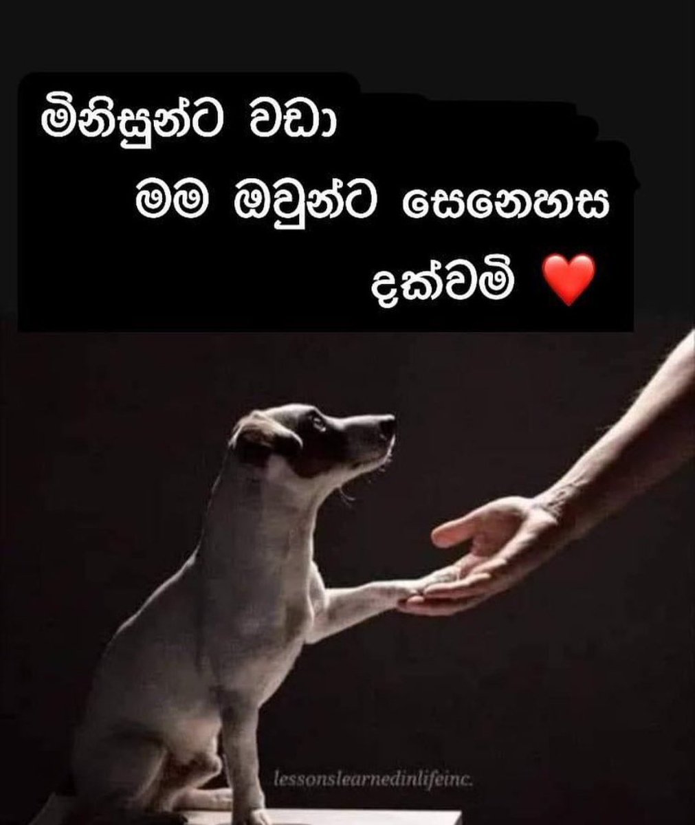 විස පිරුණු මිනිස්සුන්ගෙන් ඈත්වෙලා  සතෙකුට ආදරේ කරල බලන්න කවදාවත් වෙනස්නොවී හැමදාටම ළඟ ඉදී.....