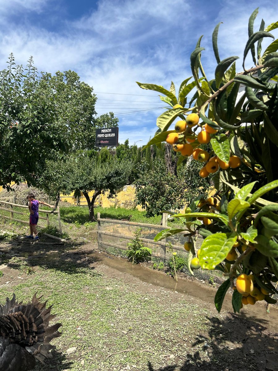 Ciudad De Los Niños - Granada tweet media