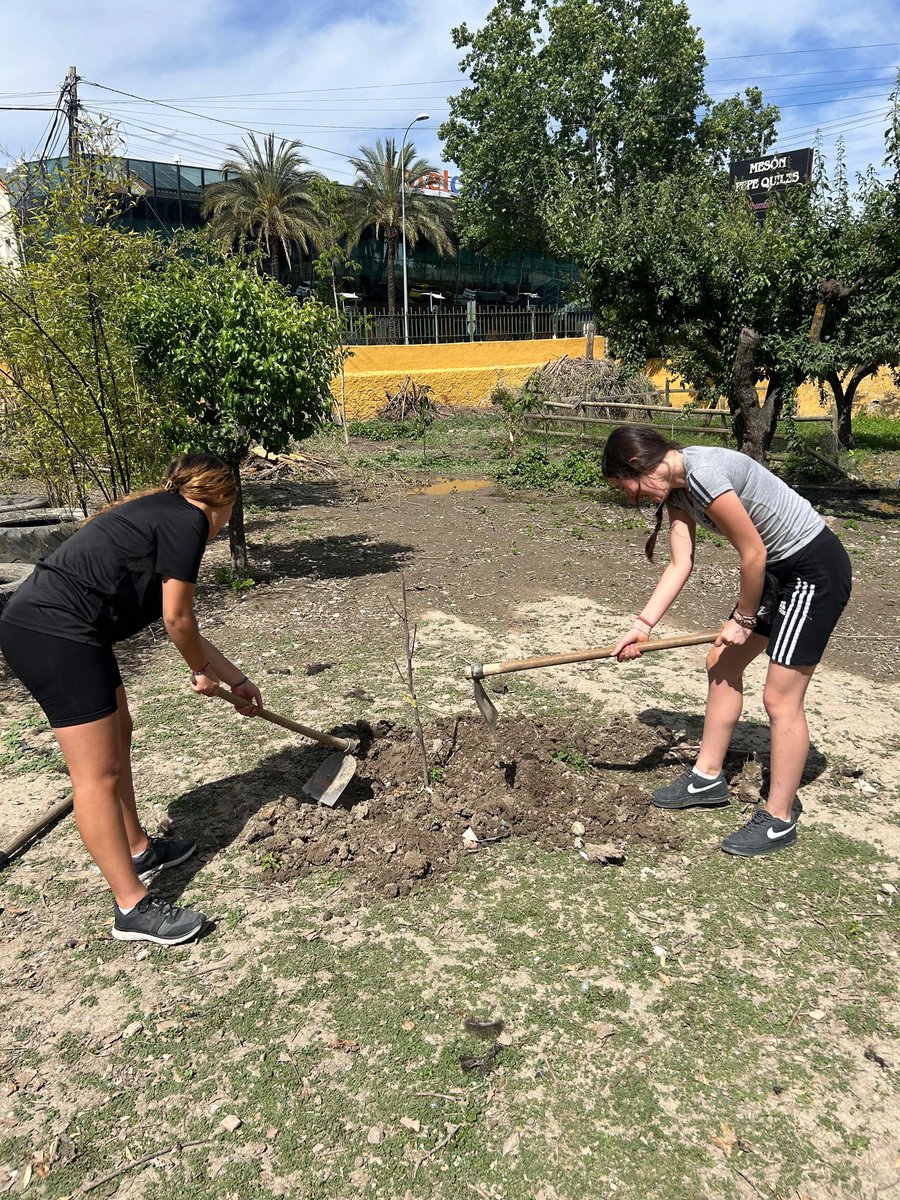 Ciudad De Los Niños - Granada tweet media