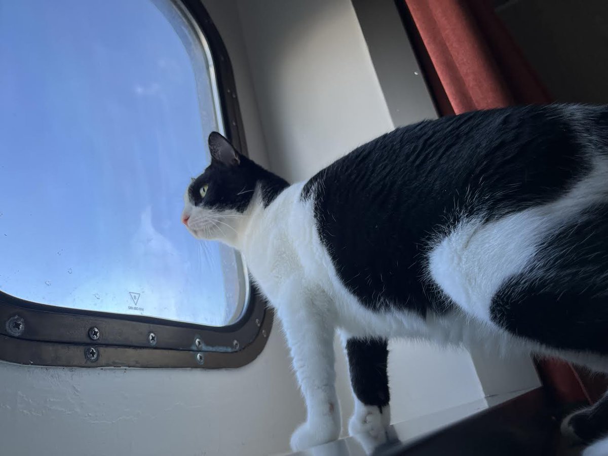 April Bailey tweet media