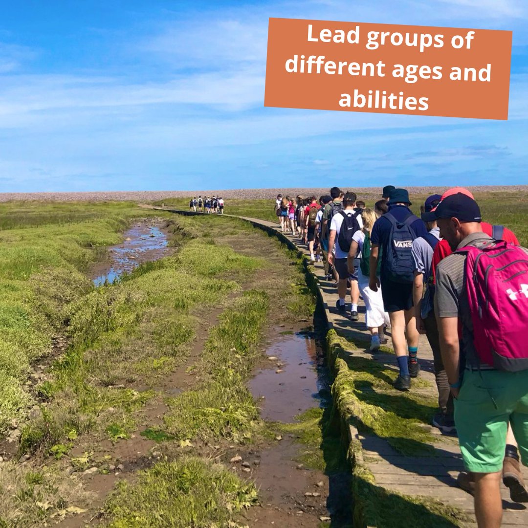 Nettlecombe Court tweet media