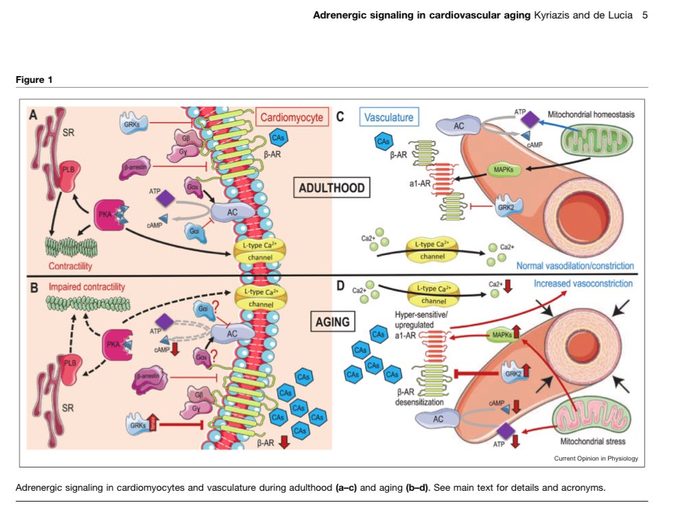 Andrew Flatt tweet media