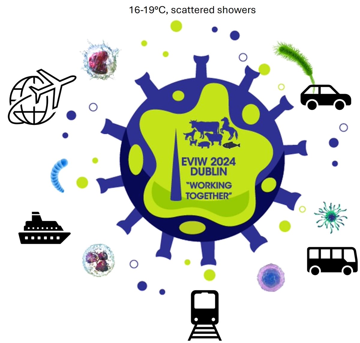 Safe travels to all coming to Ireland for the EVIW. The European Congress of Immunology is also on in Dublin this week so Immunology and One Health all the way! See you shortly. #Immunologyrocks