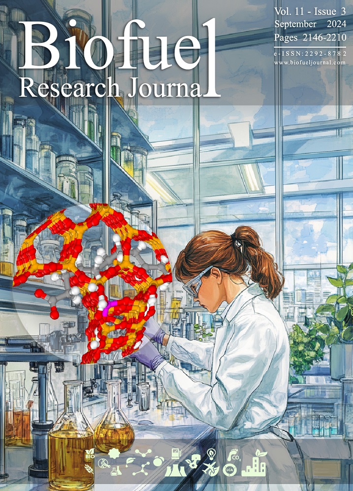 On the Cover:
Advances in biofuel tech are essential for a sustainable energy future. UAE researchers have optimized BEA zeolite catalysts for oleic acid upgrading, improving fuel yields &amp; reducing coke. Discover their innovative work biofueljournal.com/article_203965… 
#Catalyst #OleicAcid