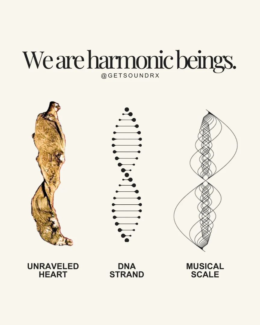 BarbaraOneillAU's tweet photo. 🫁 Frequencies, emotions, and sounds are deeply connected to our organs. As naturally resonant beings, we are constantly seeking harmony in our physical, mental, and emotional well-being whether we are conscious of it or not. https://t.co/t9NzMjo2Tg