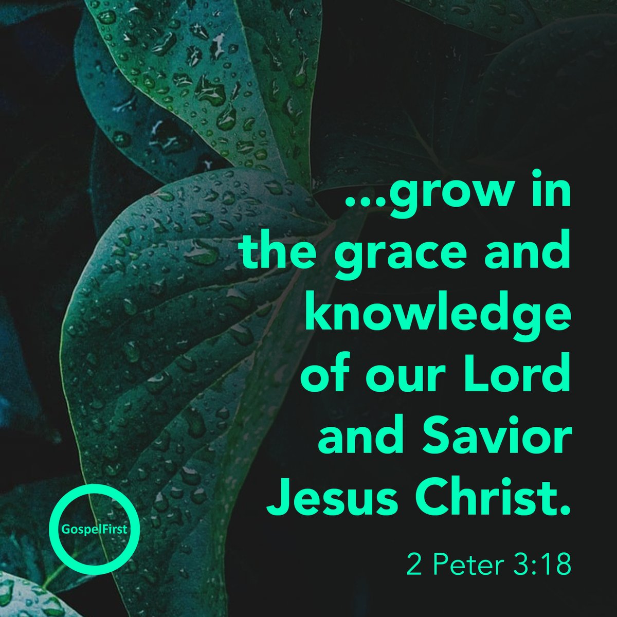 signupchurch's tweet image. But grow in the grace and knowledge of our Lord and Savior Jesus Christ. To him be glory both now and forever! Amen. - 2 Peter 3:18

#GospelFirst
