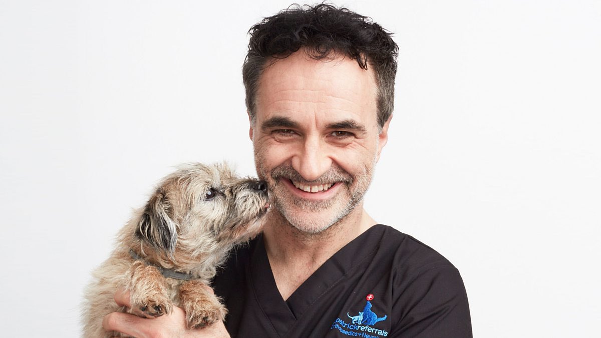 Toxic by Britney Spears is about “Supervet” Noel Fitzpatrick.