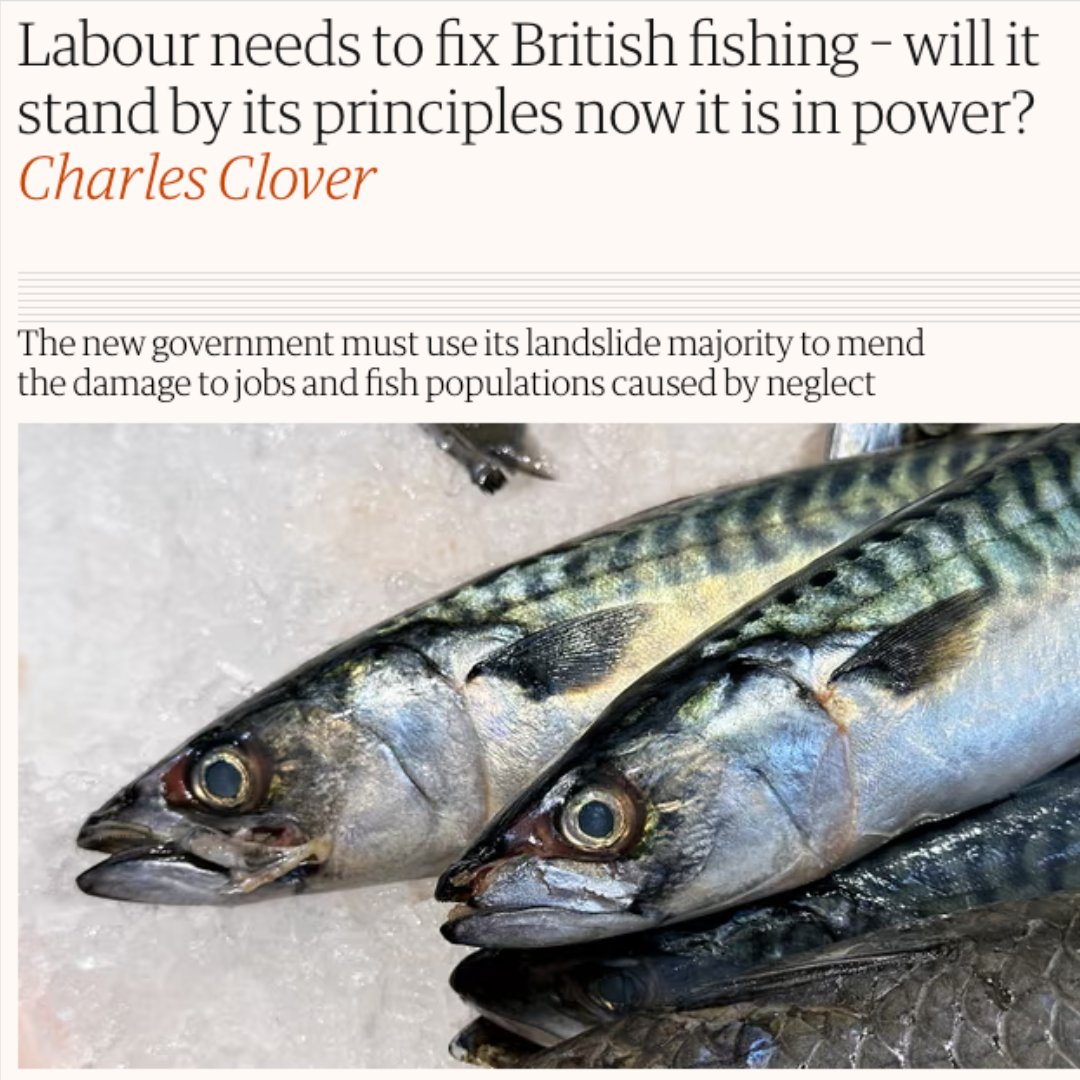 Will <a href="/UKLabour/">The Labour Party</a> use its landslide majority to fix our neglected marine environment?

❌Inshore fleets are on their knees
🤑 HUGE profits are in few hands
🐟Our national resources are being WIPED OUT

Read more in <a href="/guardian/">The Guardian</a> by <a href="/CRHClover/">Charles Clover</a>👇
theguardian.com/environment/ar…