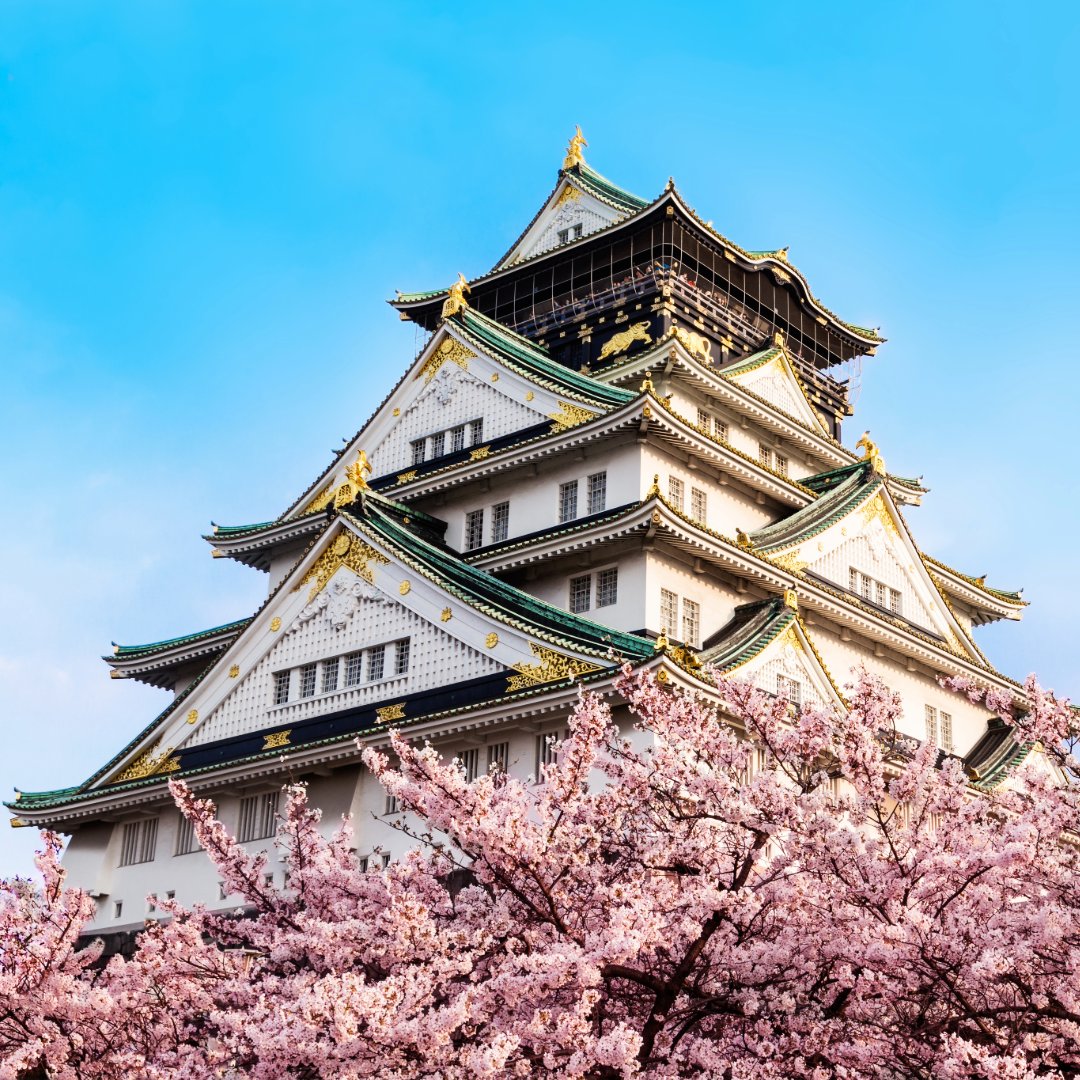 ¡Descubre la magia de #Japón con #DynamicTours y explora ciudades increíbles como #Osaka! 🇯🇵✨ Reserva con nosotros en tu agencia de viajes habitual y descubre por qué este país es uno de los destinos más fascinantes del mundo.
dynamic-tours.com