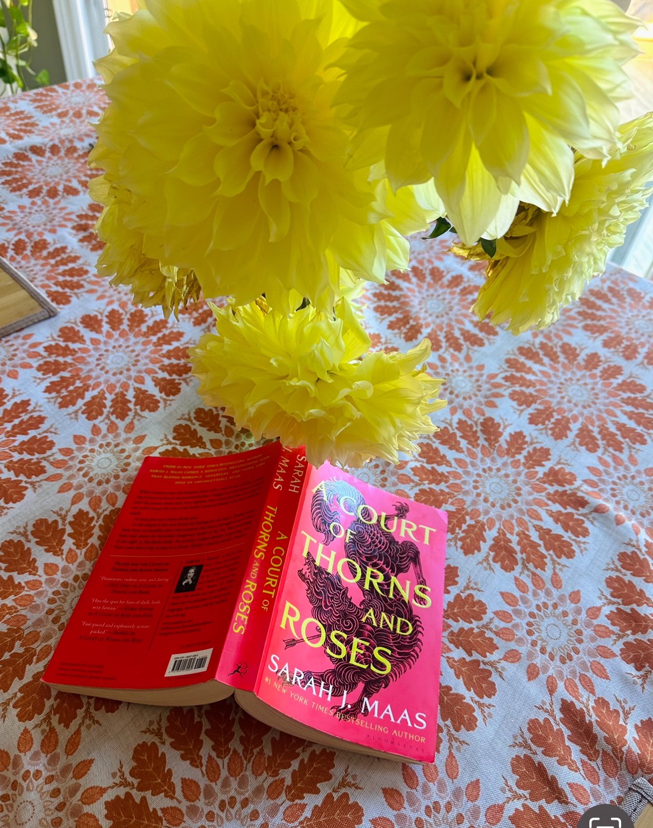 Alessia Russo on X: What better way to start the day than fresh flowers  and smutty fantasy (aka Fairy Porn). 🤓😊 t.cobNV11jOwq8  X