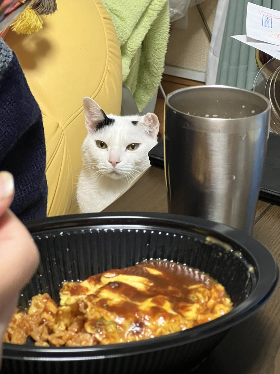 巴·͜· tweet media