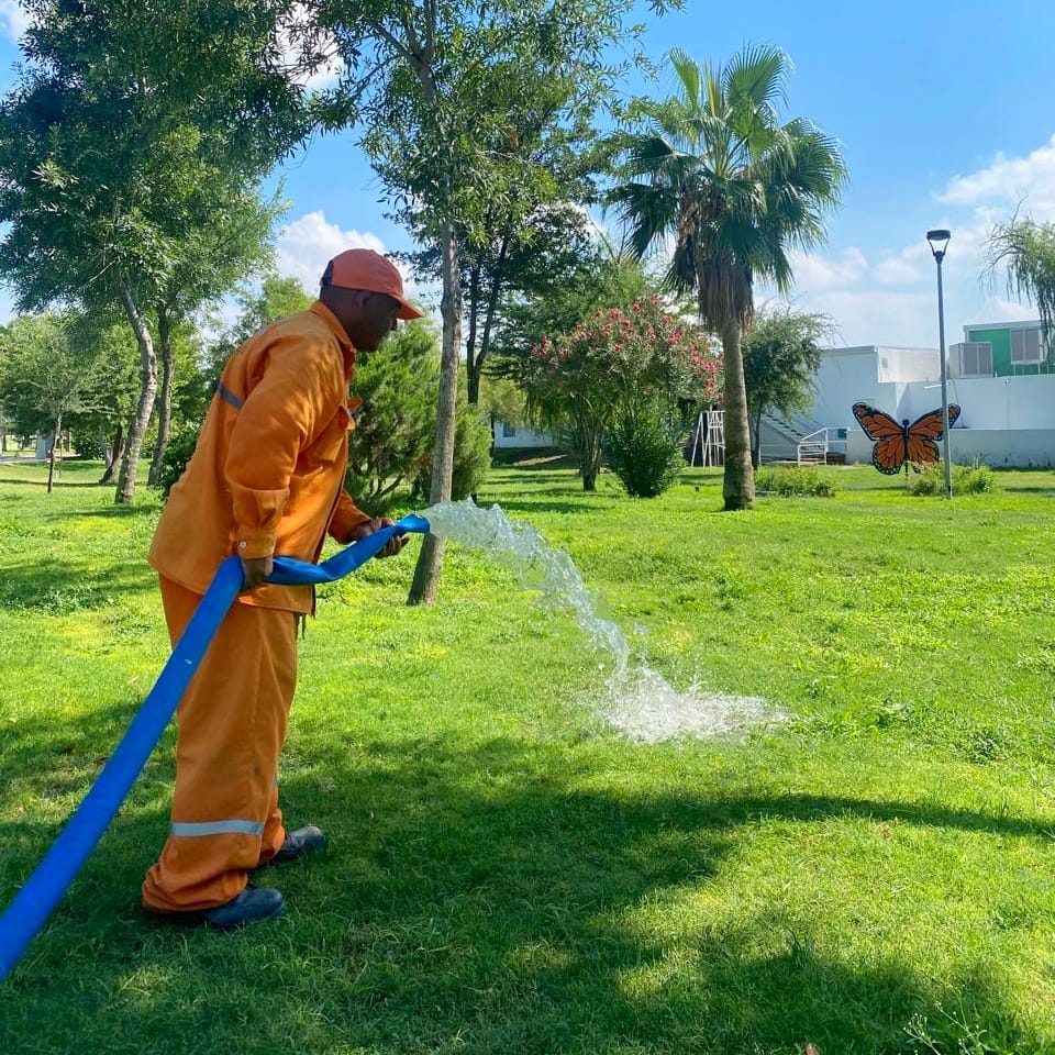 ☔️ Durante esta temporada de lluvia, aprovechamos el agua acumulada en ciertas zonas del Bosque Urbano para redistribuirla en las áreas verdes 🌱

Aprovechando este importante recurso en beneficio de las instalaciones 💧 

#TorreónSiemprePuede 💪