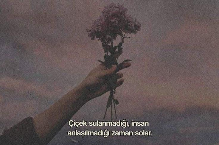 Raskolnikovsair's tweet photo. “Sulamadığın solar, aramadığın unutur, konuşamadığın yiter, ilgilenmediğin ölür.” https://t.co/Ti53mxFP23