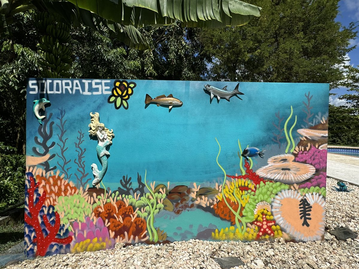 soloraise.eth tweet media