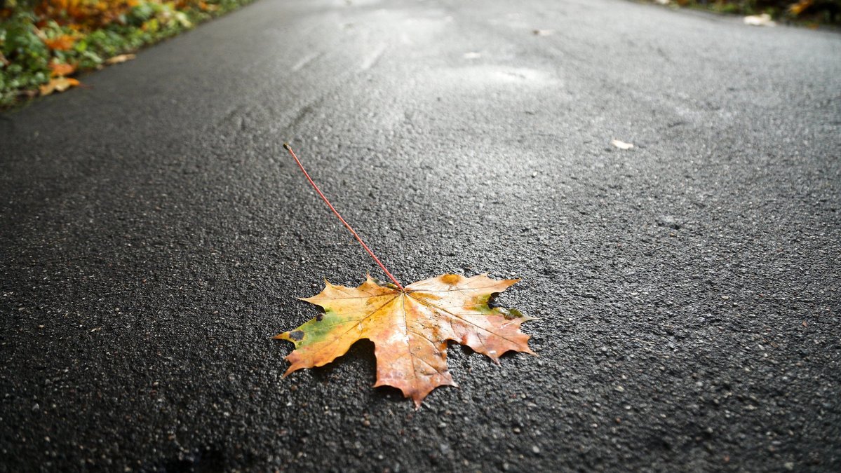 Mail.ru Авто tweet media