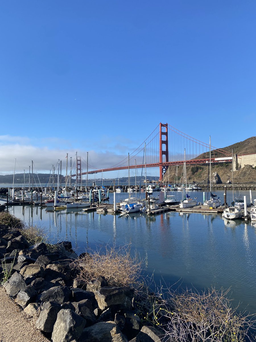 Morell4Luis's tweet image. #PoderosoWet Buenos días guys @eltalcha @ruleiro hoy acá el gaba 🇺🇸 es holiday celebrando el Laboe day y ya ando aquí preparándome para hacer mi hike, Les comparto el Golden Gate bridge
