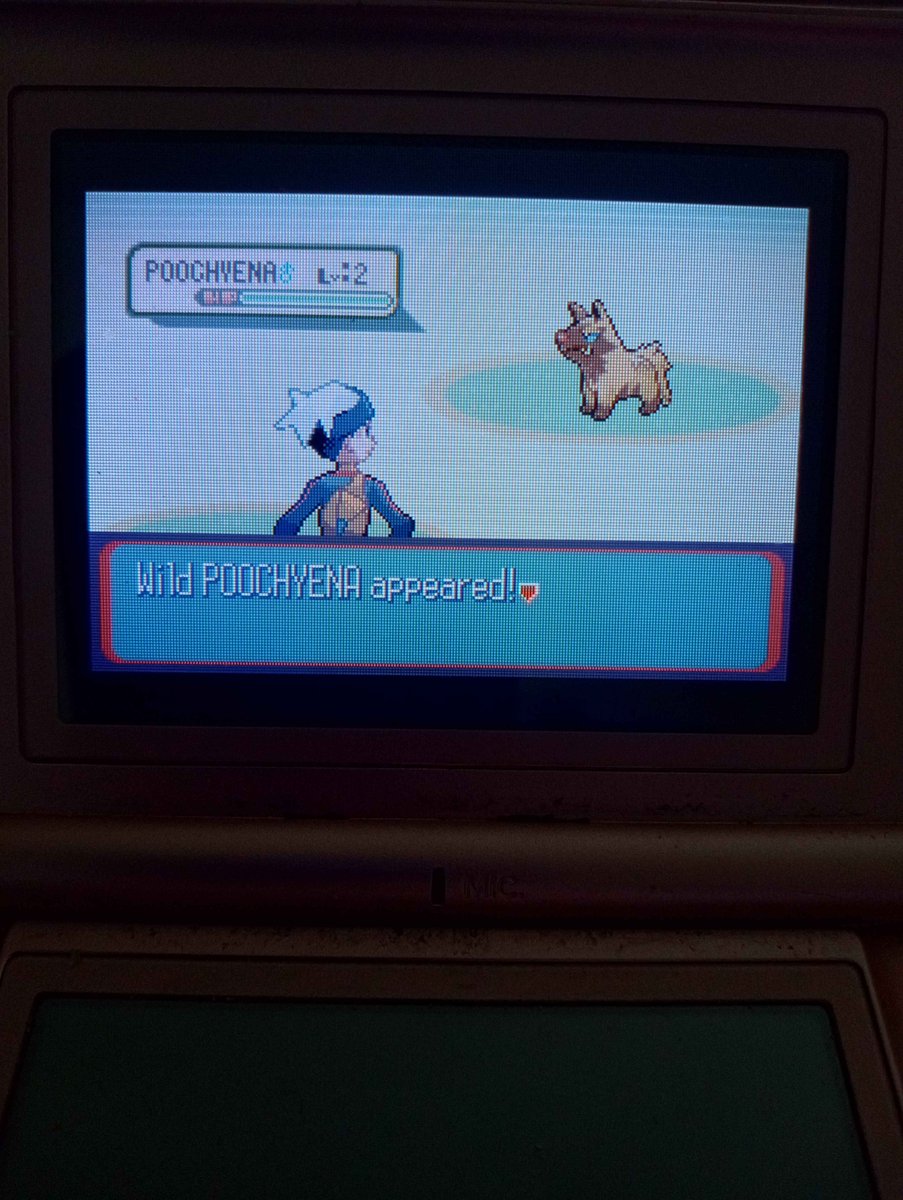 i would have named him Herman 😔