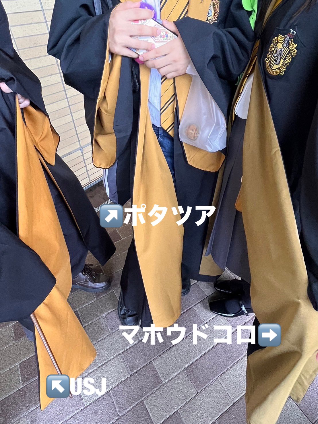 ひまちゃん on X: 