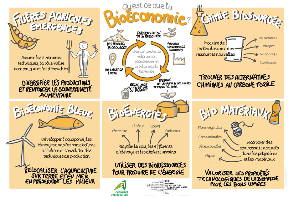 Agri_Normandie's tweet photo. 🌱Mois de la Bioéconomie 🌍
Du 2 au 30 sept. RDV chaque lundi pour explorer les facettes de la bioéconomie : production de biomasse, valorisation, acteurs clés.💡

@chambagri_hdf et ses partenaires ont mis en place l'ORBE, un observatoire dédié 🚀 https://t.co/PA8GPjW7Vi https://t.co/AvJcwJTCq9