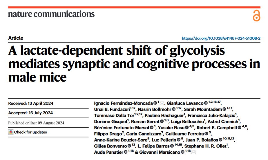 Marsicano Lab (@marsicanolab) on Twitter photo And another publication! Ignacio led this study, where we show that activating CB1 receptors in astrocytes shifts glycolysis toward d-serine production, crucial for synaptic and cognitive functions. Read it in <a href="/NatureComms/">Nature Communications</a> now! nature.com/articles/s4146… And another publication! Ignacio led this study, where we show that activating CB1 receptors in astrocytes shifts glycolysis toward d-serine production, crucial for synaptic and cognitive functions. Read it in <a href="/NatureComms/">Nature Communications</a> now! nature.com/articles/s4146…