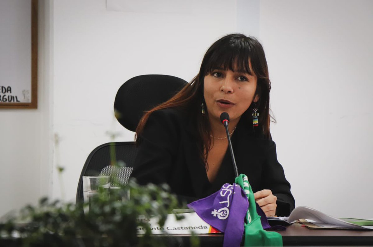 secredistmujer's tweet photo. La Agenda 2030 nos desafía a alcanzar la igualdad de género. En @Bogota, trabajamos para impulsar el liderazgo de las mujeres en la política local y garantizando sus derechos en las JAL. https://t.co/HA5NcrAD6i