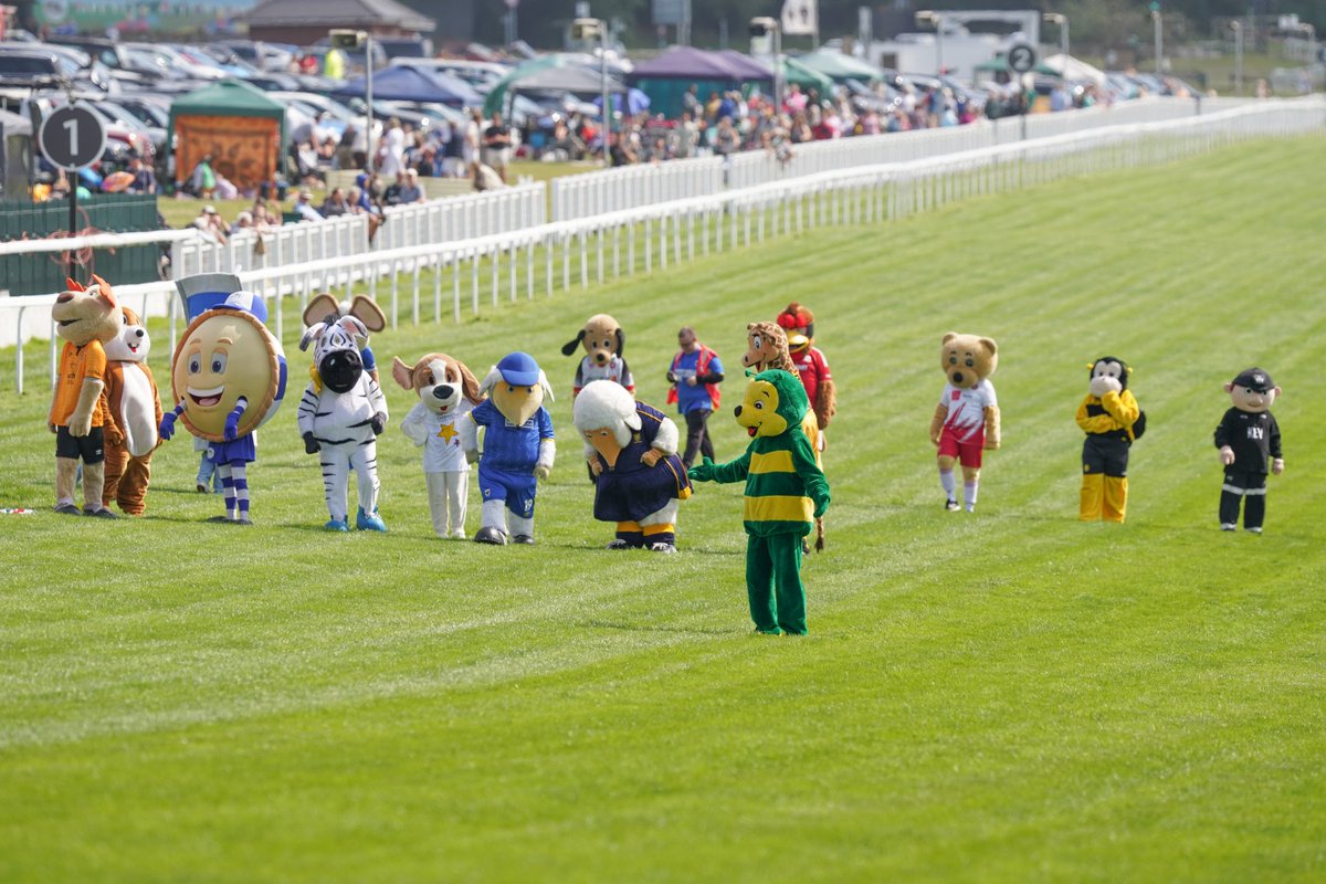 Haydon the Womble tweet media