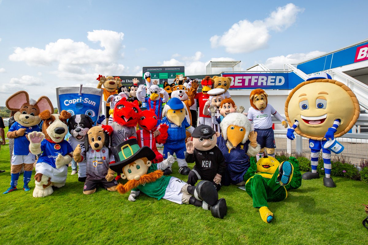 Haydon the Womble tweet media