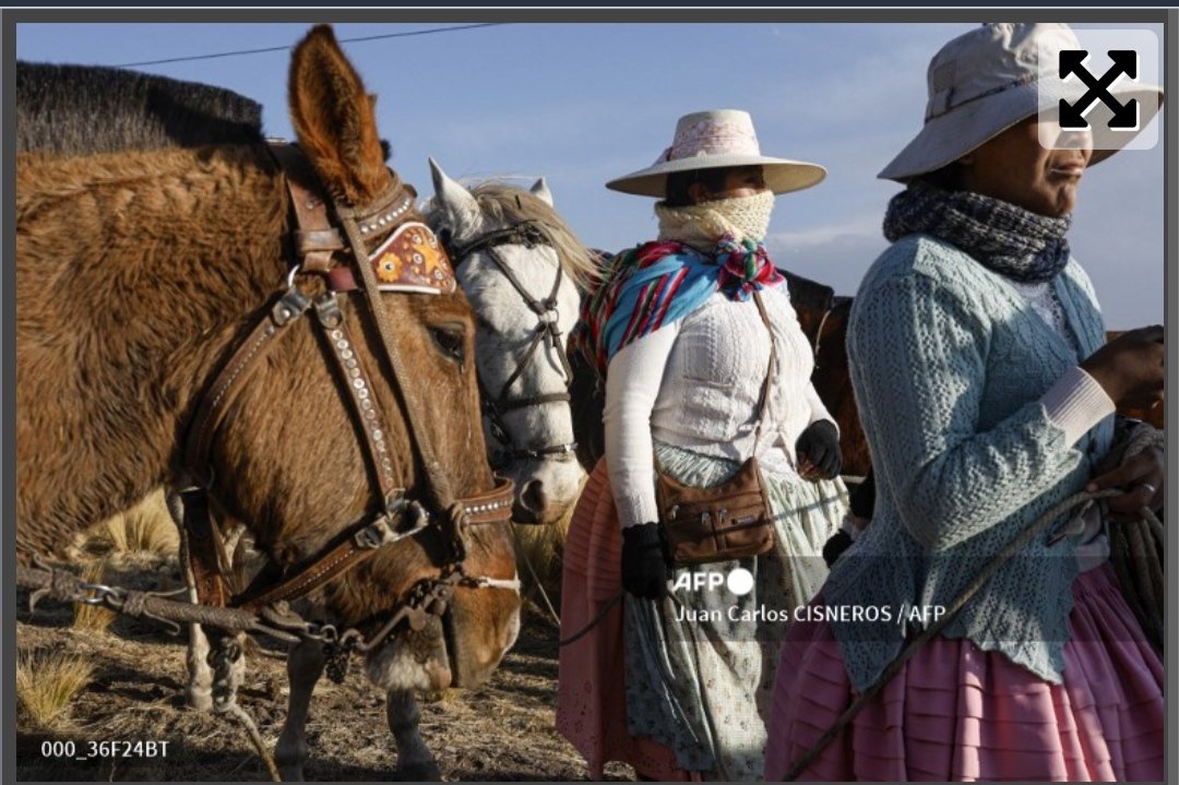 Jinetas de altura, reclaman mismos derechos que varones participantes en carrera de caballos tradicional del altiplano puneño.

#acora #puno #Peru #aymara 

<a href="/AFPphoto/">AFP Photo</a> <a href="/AFP/">AFP News Agency</a> <a href="/afpfr/">Agence France-Presse</a>