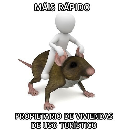 🐀🏠